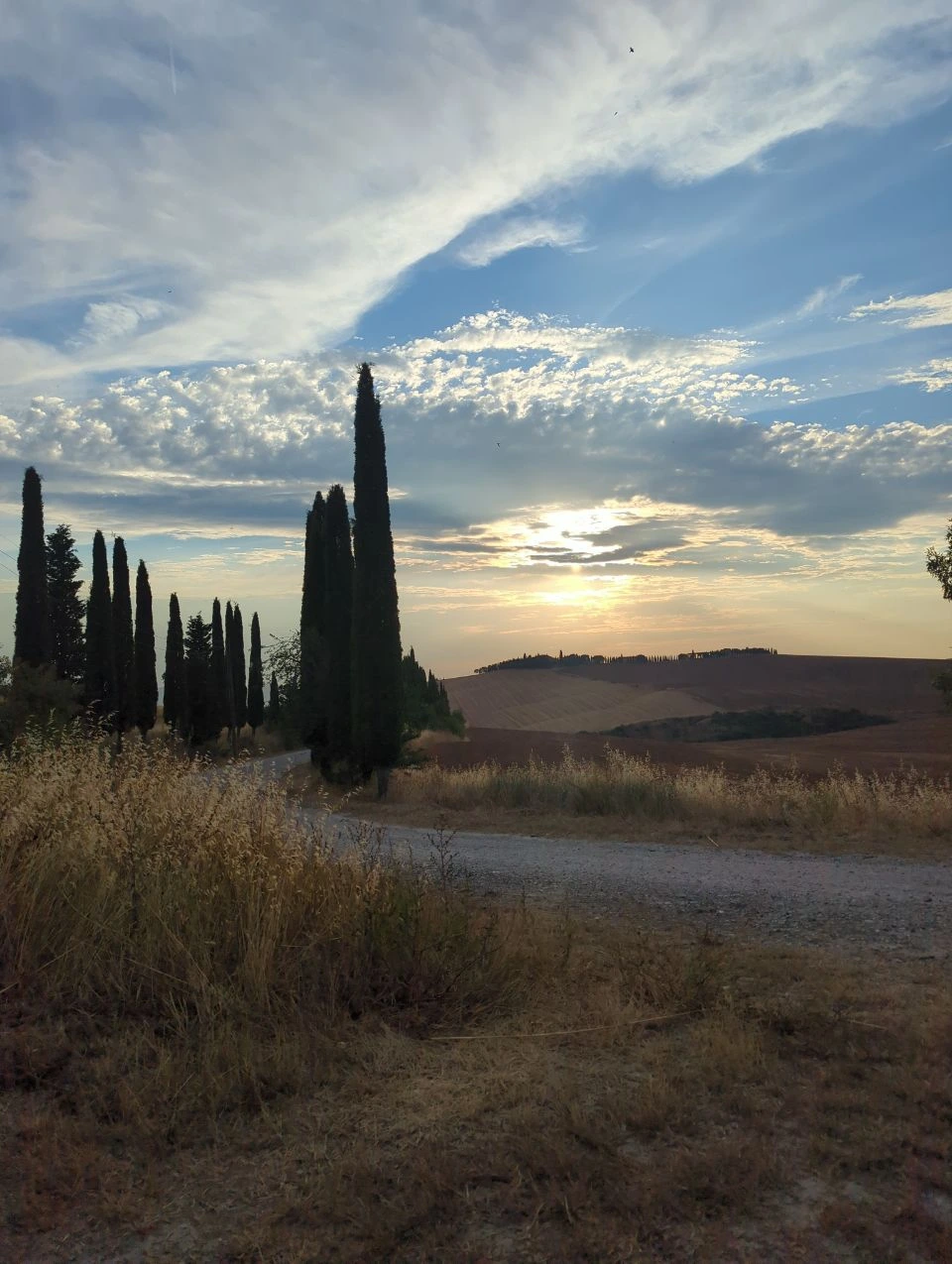 Low sunset light beside cypresses and rolling fields in Val d’Orcia
