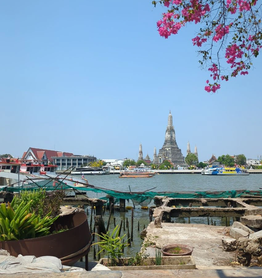 Wat Arun’s central prang rises across the Chao Phraya River beneath pink flowers in bright Bangkok daylight.